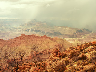 Wall Mural - grand canyon national park, arizona, usa