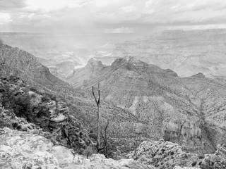 Wall Mural - grand canyon national park, arizona, usa