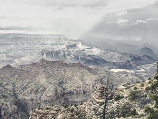 Wall Mural - grand canyon national park, arizona, usa