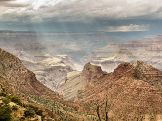 Wall Mural - grand canyon national park, arizona, usa