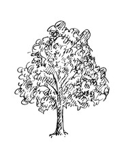 Black and white sketch of a tree. Vector illustration