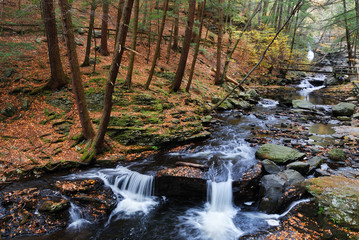 Autumn creek in woods with foliage