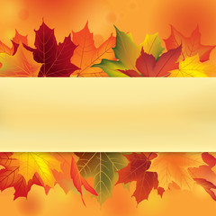 Wall Mural - Autumn frame with maple leaves. Fall border background with copy space