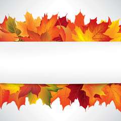 Wall Mural - Autumn frame with maple leaves. Fall border background with copy space
