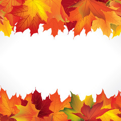 autumn frame with maple leaves. fall seamless border background with copy space