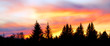 Panorama of a colorful sunset behind silhouetted forest trees in Alaska