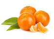 Ripe mandarines with leaves close-up on a white background. Tangerines with leaves on a white background.