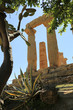 Blick auf die Säulen des Hera-Tempels im Valle dei Templi auf Sizilien