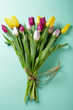 Fototapeta Tulipany - fresh tulips