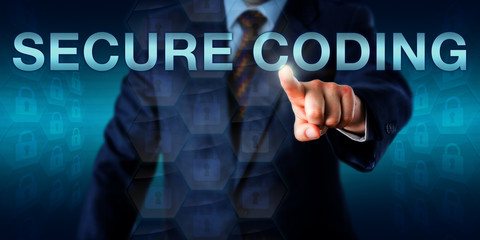 security professional touching secure coding