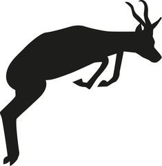 Sticker - Jumping springbok