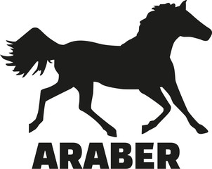 Sticker - Arabian horse with german name