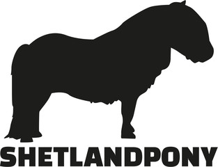 Wall Mural - Shetland pony