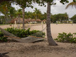 Hammock with Sand Volleyball Net on the Beach in St. Croix