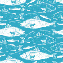 Fish Seamless Background