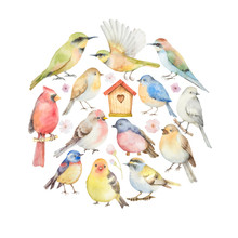 Watercolor Set Of Birds And Birdhouse In The Shape Of A Circle.