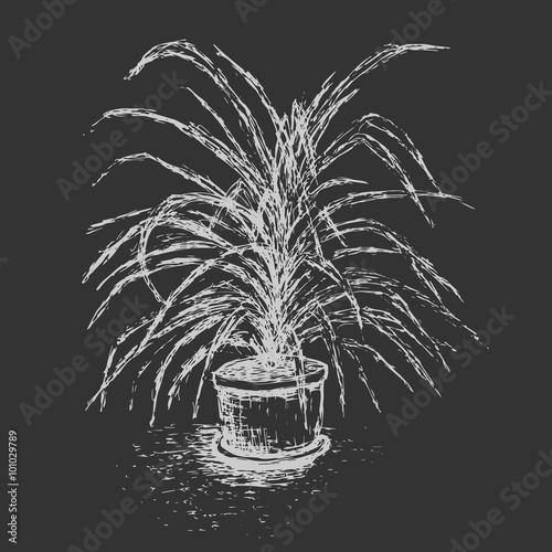House Plant In Flower Pot Isolated On Dark Gray Background Palm Tree Ink Sketch Hand Drawn Design Elements Chalkboard Imitation Black And White Vector Illustration Buy This Stock Vector And Explore Similar Flower pot design | flower pot design, pot designs, flower. house plant in flower pot isolated on
