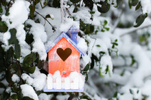 Orange And Purple Birdhouse Covered In Snow With Snow Covered Trees Blurred In Background