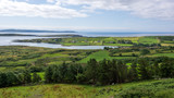 Fototapeta Storczyk - Irish green landscape