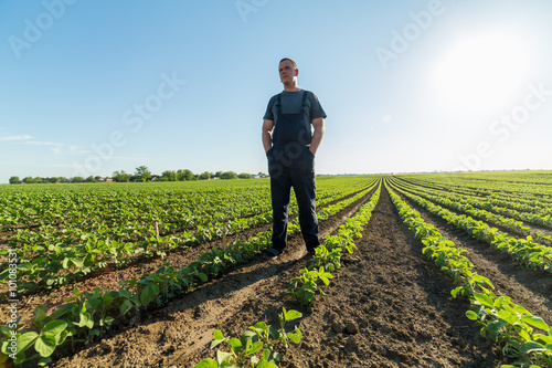 Fotomural Proud farmer in green soybean field