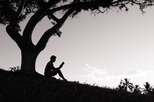 Young Man Reading In The Park Under A Tree.
