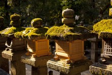 Stone Lanterns In Kasuga-taisha Shrine, Nara, Japan
