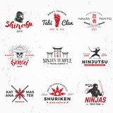 Set of Japanese Ninjas Logo. Katana master insignia design. Vintage ninja mascot badge. Martial art Team t-shirt illustration concept on grunge background
