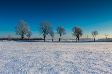 Wall Mural - Beautiful cold morning on snowy winter countryside.