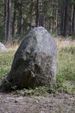 Fototapeta Desenie - Polish stone circle  in Odry