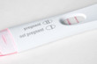 Pregnancy Test with Pregnant Results