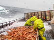 crab fishing in dangerous conditions