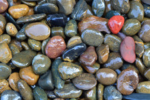 Red And Soaked Pebble Stone