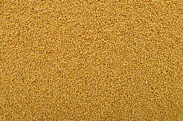 Wall Mural - mustard seeds texture