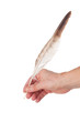 © unclepodger - Feather in hand on white background
