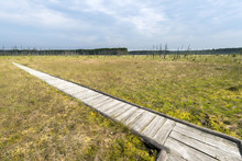 Wooden Board Walk Over The Obary Peat Bog  In Poland