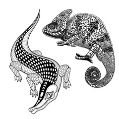 Hand drawn ethnic zentangle Crocodile and Chameleon for adult co