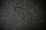 Fototapeta Fototapeta kamienie - Leaf imprint on cement texture background