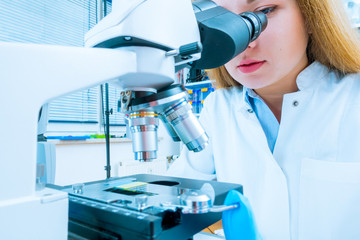 Poster - Scientist using a microscope in a laboratory