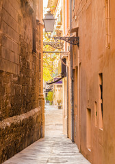 Fototapete - Narrow passage way in a old town