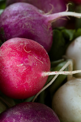 Wall Mural - fresh raw organic radish