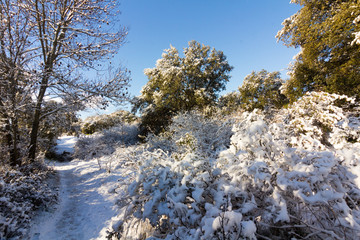 Wall Mural - snowy landscape with blue sky and white clouds