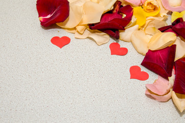 red petal rose on light table