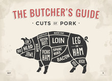 Cut Of Meat Set. Poster Butcher Diagram, Scheme And Guide - Pork. Vintage Typographic Hand-drawn. Vector Illustration.