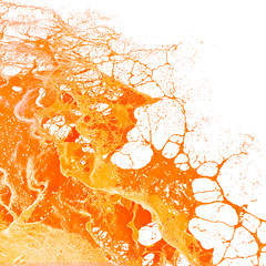 Wall Mural - Fresh Orange Juice splash.