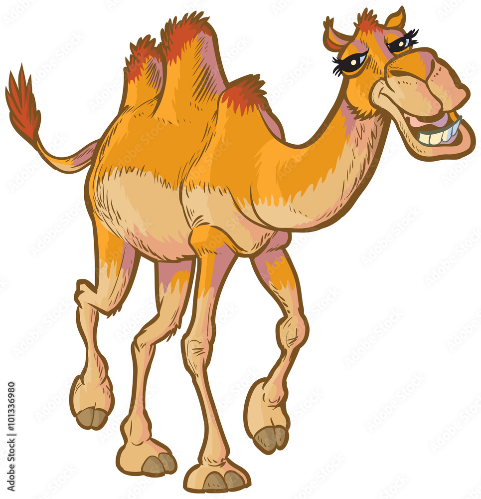 clipart camel