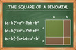 The Square of a binomial on chalkboard vector