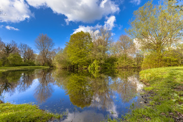 Canvas Print - Springtime natural park