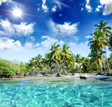 Fototapeta  - Entspannung, Relaxen: Traumurlaub an einem einsamen Strand in der Karibik :)