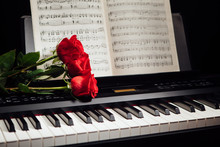 Red Roses On Piano Keys And Music Book