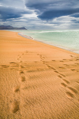 Wall Mural - Footprints on the beach by the Arctic sea in Iceland